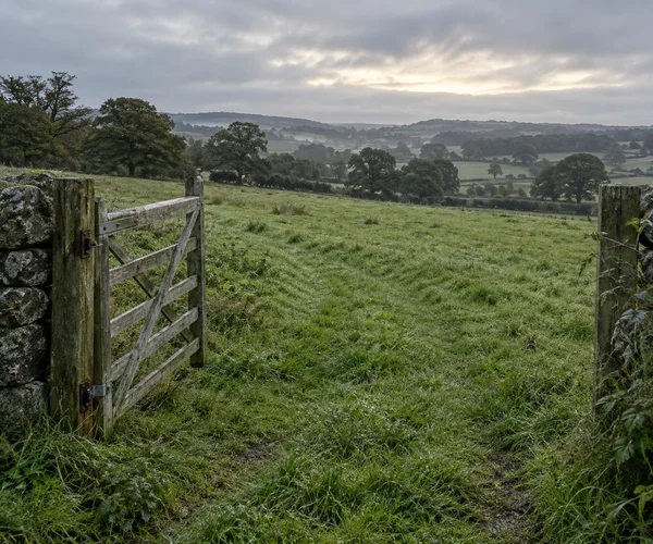 A weathered grey wooden gate stands open beside a stone wall at the edge of a green pasture.