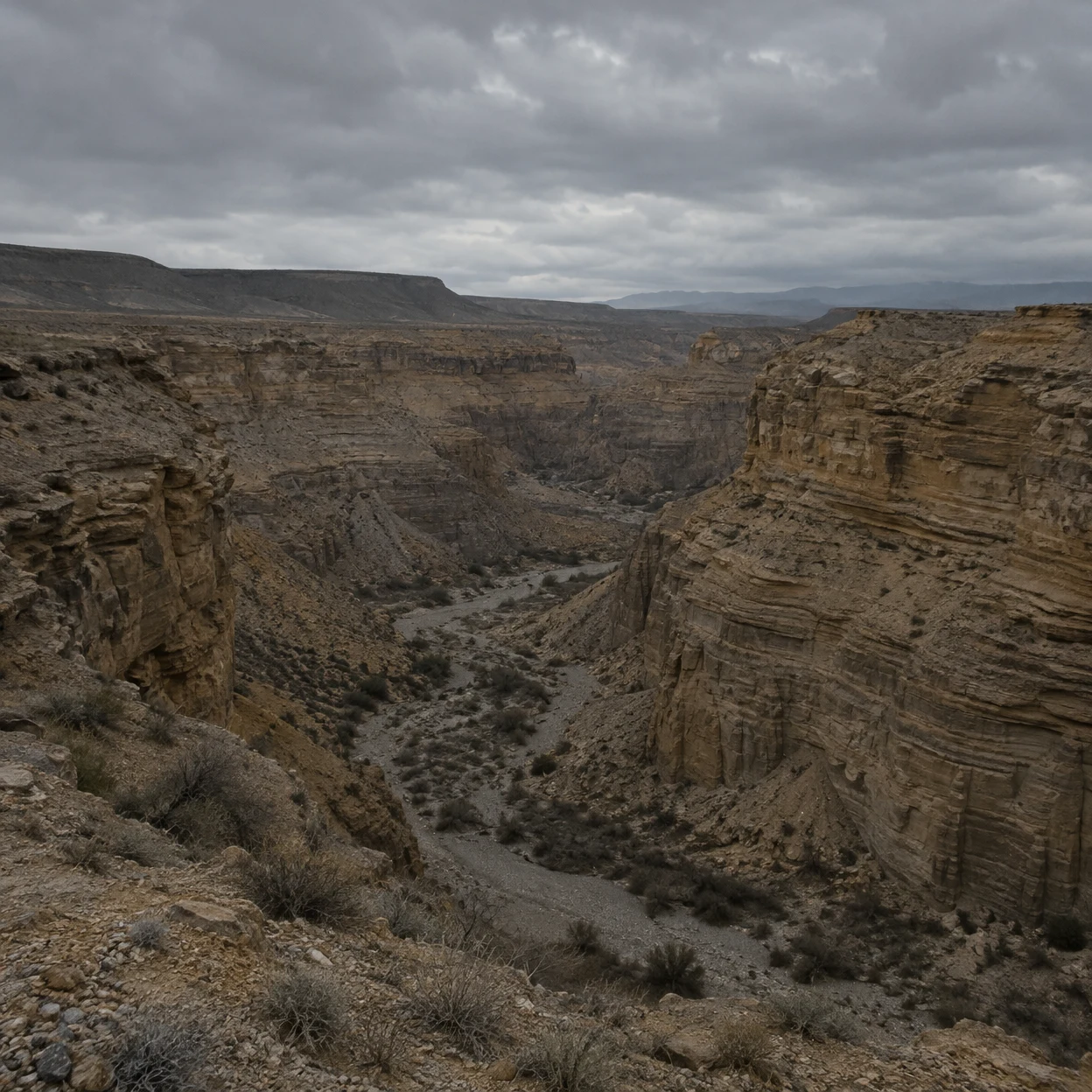 A broad, layered sandstone canyon curves into the distance beneath a heavy gray overcast sky, with pale gravel and sparse dry scrub on the shadowed floor.