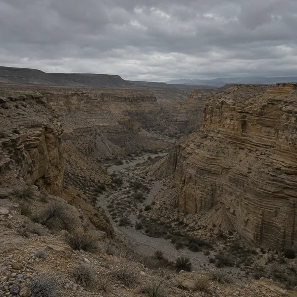 A broad, layered sandstone canyon curves into the distance beneath a heavy gray overcast sky, with pale gravel and sparse dry scrub on the shadowed floor.