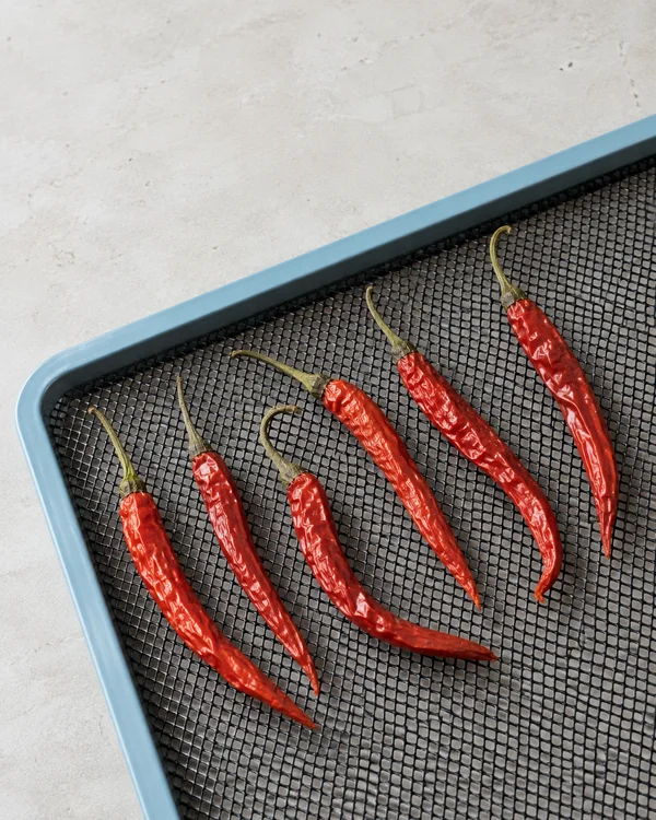 Six wrinkled coral-red chillies with green-brown stems lie on the black mesh of a pastel-blue metal drying tray set diagonally on a pale tabletop.