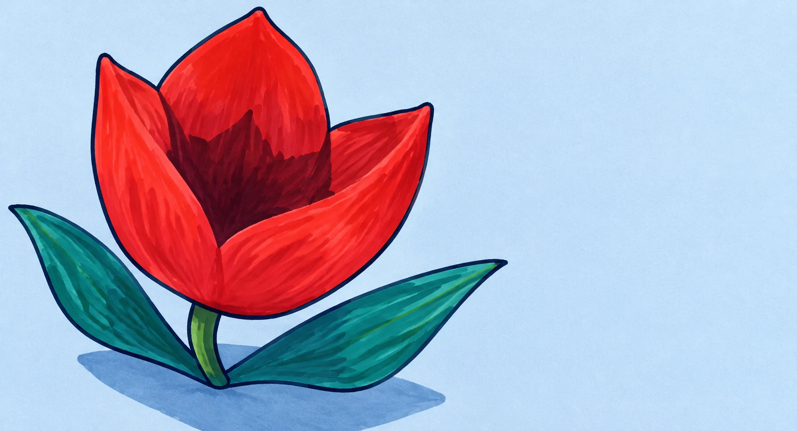 A large scarlet tulip with a dark burgundy interior and two blue-green leaves is drawn in bold marker on pale blue paper, with a blue shadow and open space to…