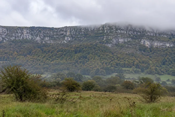 A long pale limestone escarpment with scrubby ledges rises above dense green and ochre woodland, with low cloud along the rim.