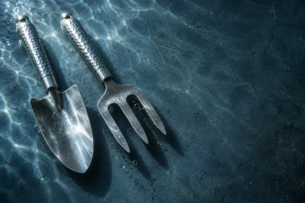 A stainless-steel garden trowel and three-tine hand fork with hammered handles lie side by side on a slate-blue underwater surface, with bright caustic light…