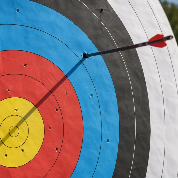 Close view of a paper archery target outdoors, with an arrow embedded in the blue ring and its red fletching visible at the upper right.