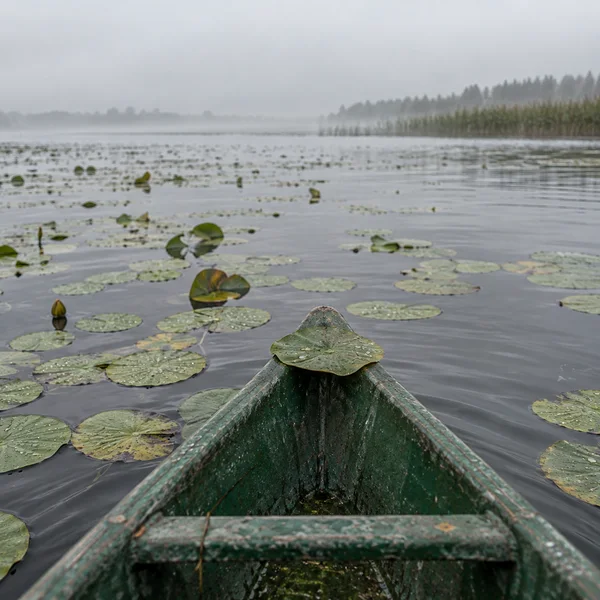 The pointed bow of a weathered green canoe fills the foreground, with a round lily pad resting across its tip.