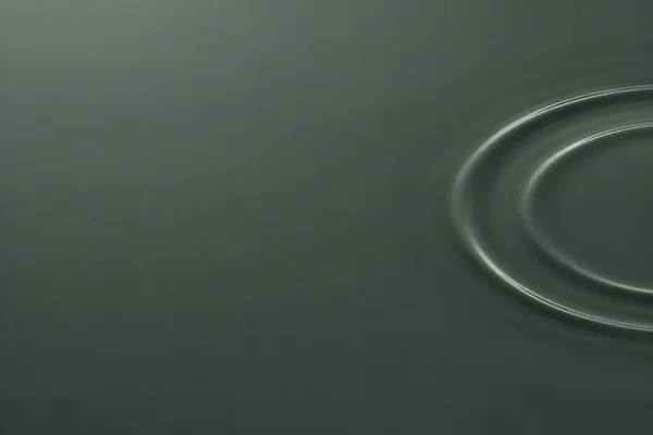 An overhead abstract view of a smooth graphite-green liquid surface, with two silver-sage concentric ripple arcs entering from the right and broad empty space…