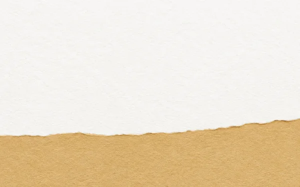 A textured paper-grain background with a broad ochre strip across the bottom beneath an expansive chalk-white field.
