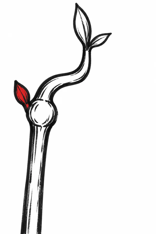 A hand-drawn black marker illustration of a tall, curved plant stem with a large oval node, two pointed leaves at the top, and a red pointed growth beside the…