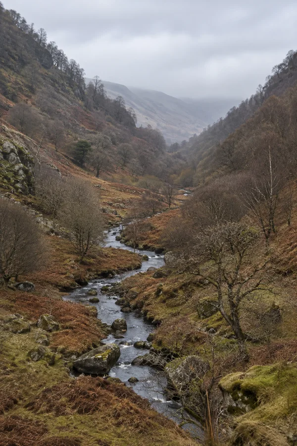 A narrow rocky stream winds through a rust-coloured, mossy upland valley with steep wooded slopes and bare trees, fading into pale mist beneath a cloudy sky.