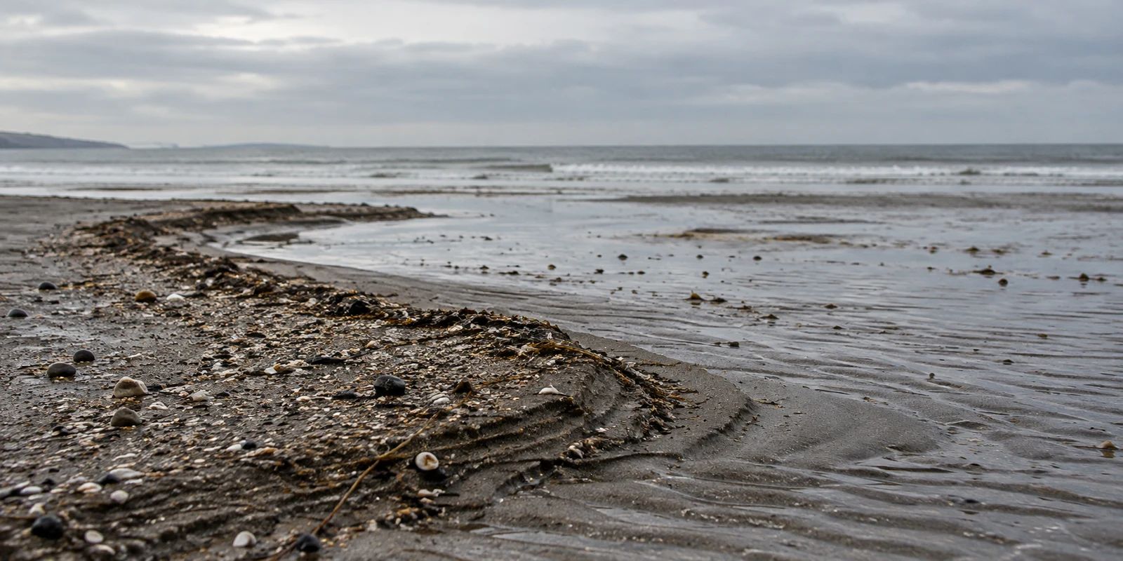 A dark, shell-and-pebble-strewn tideline ridge curves across rippled wet sand on an empty beach, with a grey sea, cloudy sky and low land visible on the…