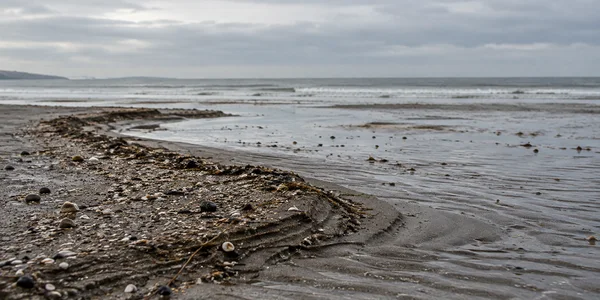 A dark, shell-and-pebble-strewn tideline ridge curves across rippled wet sand on an empty beach, with a grey sea, cloudy sky and low land visible on the…