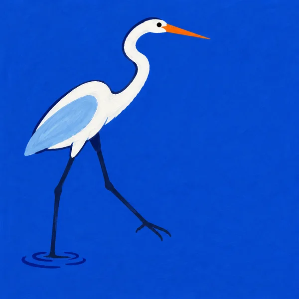 A white heron with a long S-shaped neck, orange bill and pale-blue wing patch wades through a cobalt-blue field, facing right with one leg planted among dark…