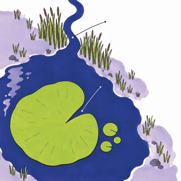 An overhead illustrated marsh pool with a large lime-green notched lily pad, three smaller round pads, winding blue water, lilac banks, reeds and two leader…