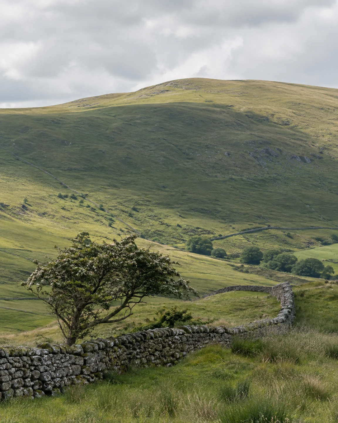 A green upland hillside lies beneath a cloudy pale sky, with a broad dark shadow across its middle.