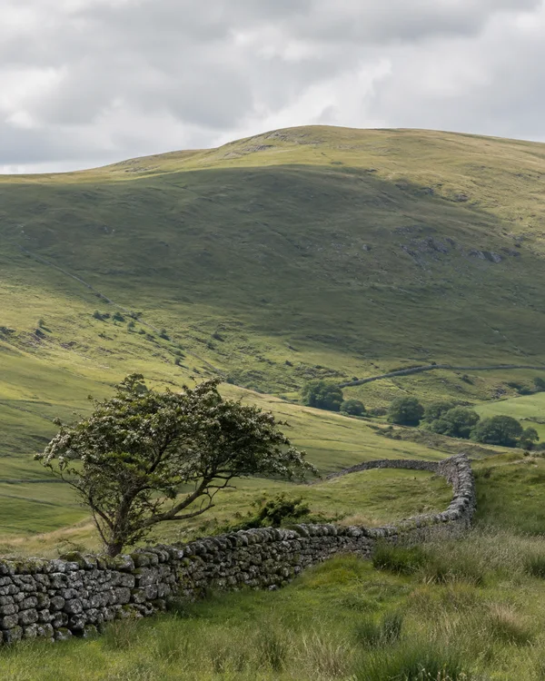 A green upland hillside lies beneath a cloudy pale sky, with a broad dark shadow across its middle.