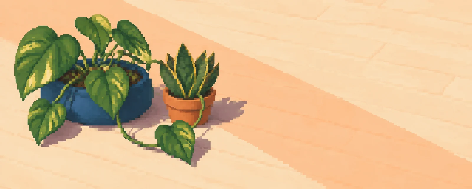 A sprawling pothos in a wide cobalt-blue planter sits beside a terracotta pot of upright snake-plant leaves on a warm peach-lit floor, with a looping vine and…