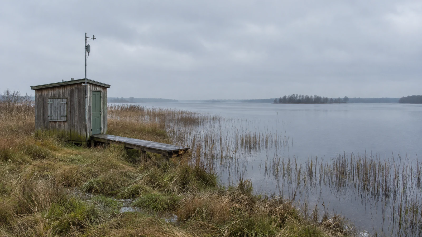 A weathered wooden hut with a muted green door, shuttered window and roof-mounted sampling mast stands beside a reed wetland.
