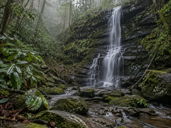 A silky waterfall descends over dark, layered rock in a wooded gorge, with wet moss, ferns, fallen branches and a shallow rocky stream in the foreground; mist…
