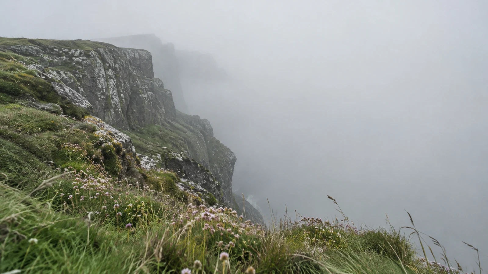 A rugged, lichen-spotted coastal cliff with green grass and small pink flowers drops into dense pale fog, with windblown grasses in the foreground and no…