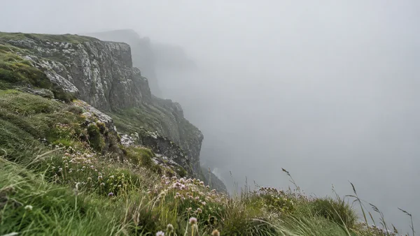 A rugged, lichen-spotted coastal cliff with green grass and small pink flowers drops into dense pale fog, with windblown grasses in the foreground and no…