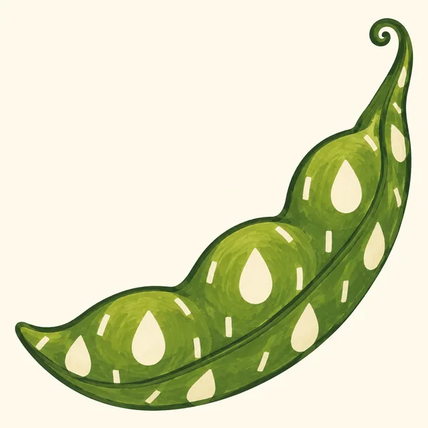A large green bean pod curves from the lower left toward the upper right on a warm ivory background.
