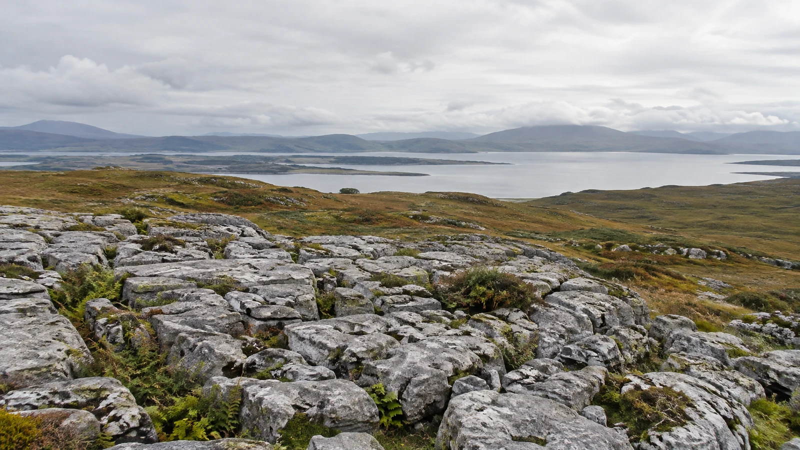 A broad limestone pavement with moss and fern in its fissures fills the foreground, beyond olive and rust-coloured moorland, a silvery estuary and distant low…