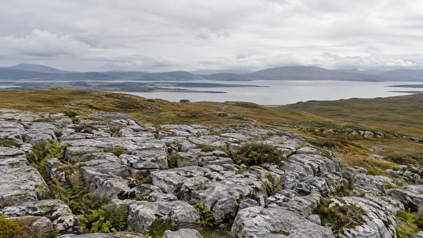 A broad limestone pavement with moss and fern in its fissures fills the foreground, beyond olive and rust-coloured moorland, a silvery estuary and distant low…