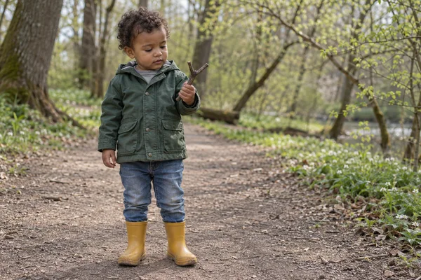 A curly-haired toddler in a dark green jacket, denim trousers and ochre boots stands on a woodland path, looking at a small forked twig held in one hand.