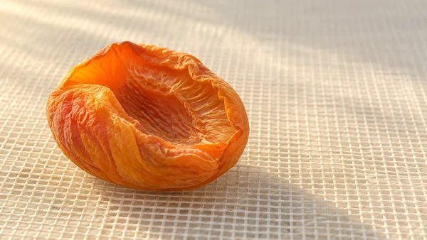 A wrinkled orange apricot half rests cut-side up on pale woven mesh, left of center, with a large open cavity and empty mesh extending across the right side.