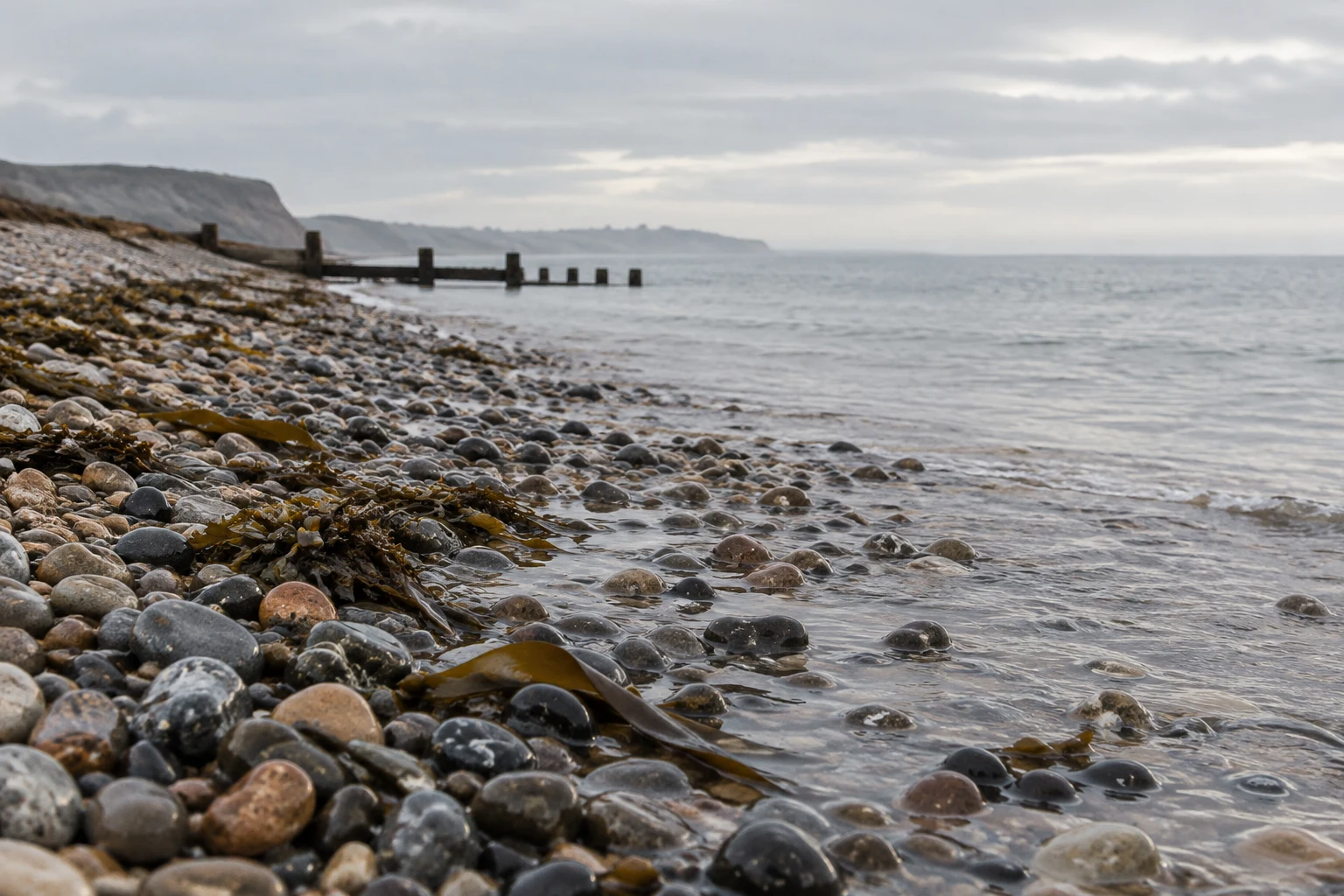 A low view across rounded pebbles and scattered kelp on a wet shingle beach, with shallow water, a calm grey sea, distant cliffs and a wooden groyne beneath an…