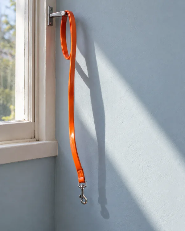 A vivid orange-coated dog lead hangs from a metal window latch against a pale blue wall, with its silver clasp near the bottom.