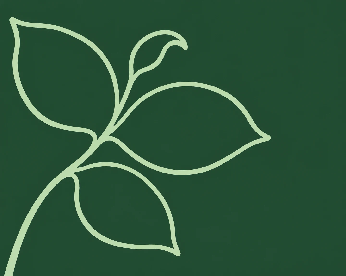 A pale green outlined botanical sprig bends upward from the lower-left on a dark green background, with three large leaves and a small curled tip.