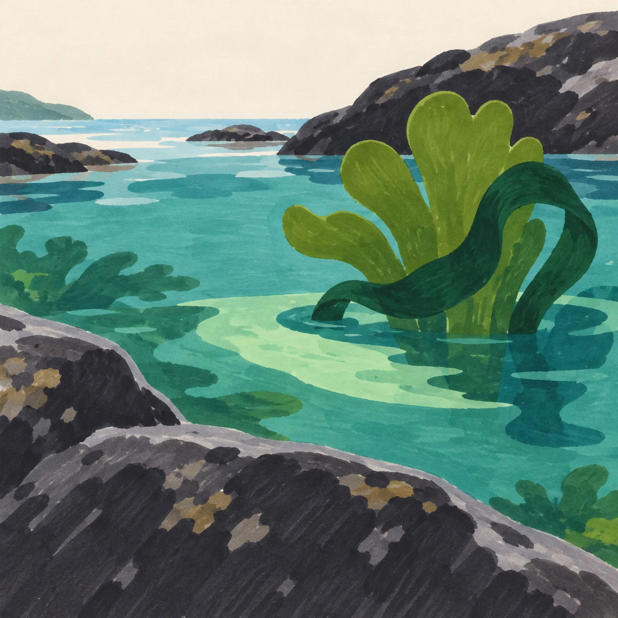 A large olive-green, lobed seaweed shape crossed by a curling dark-green ribbon rises from turquoise water in a rocky coastal inlet.