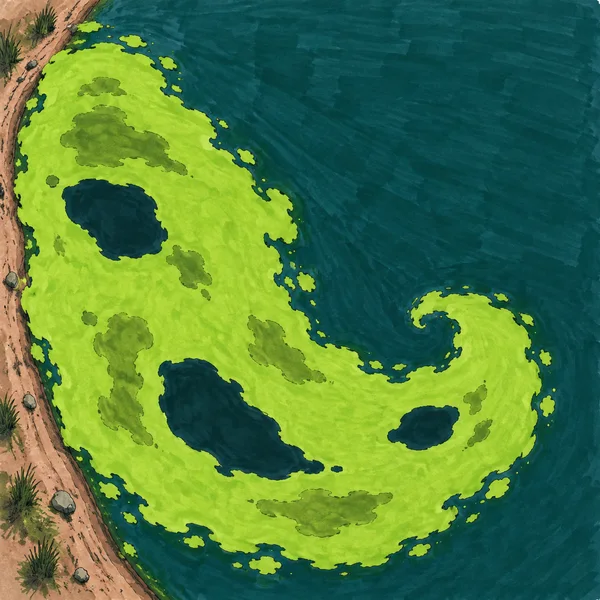 A top-down marker-style illustration of a large lime-green algal mat curling across a deep teal pond beside a curved clay bank, with dark-water openings and…