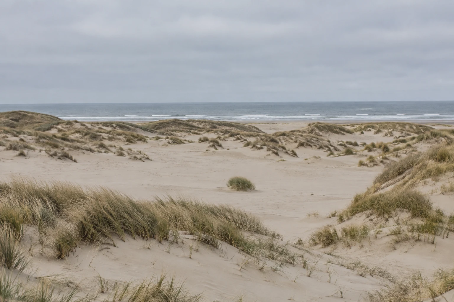 A broad coastal dune landscape with rippled pale sand, scattered marram grass, and a lone grass clump in the middle distance, with the sea and overcast sky…