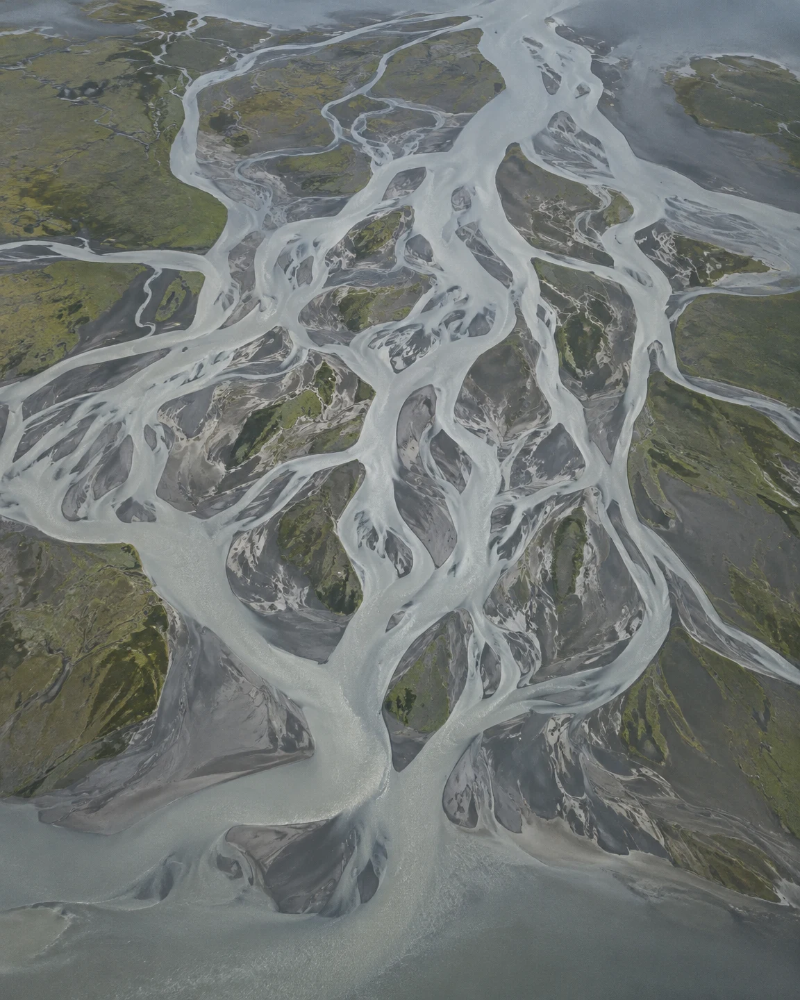 Straight-down aerial view of pale silver-grey braided channels winding through dark wet flats and olive-green tidal vegetation.