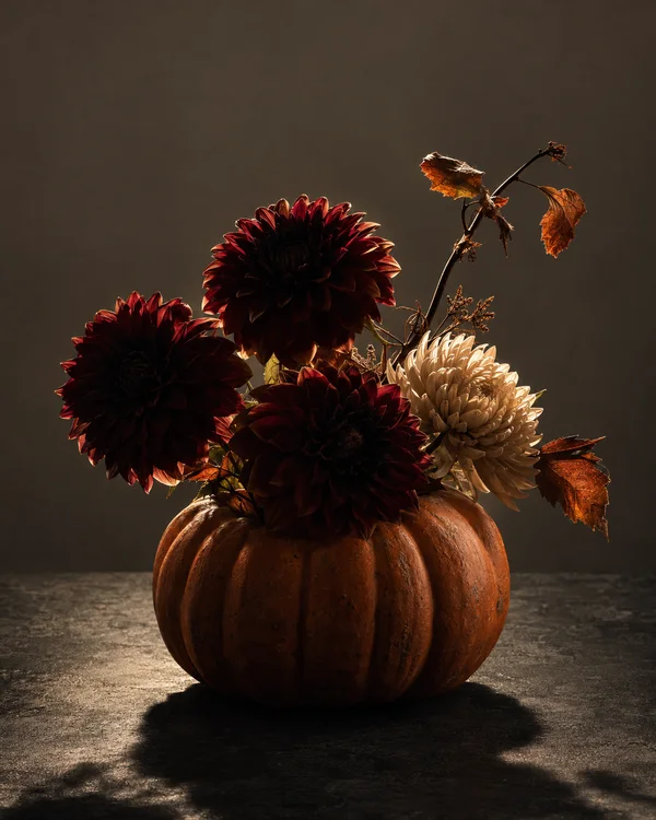 Three dark burgundy dahlias and a cream flower rise from a ribbed orange pumpkin on a dark tabletop, with dried leaves and branching stems extending to the…