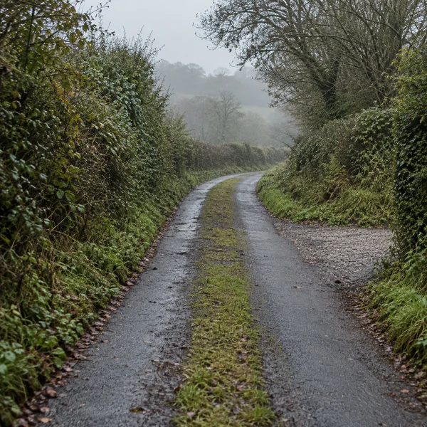 A damp, narrow country lane with a grassy strip down the middle curves between dense hedgerows toward trees softened by pale mist.