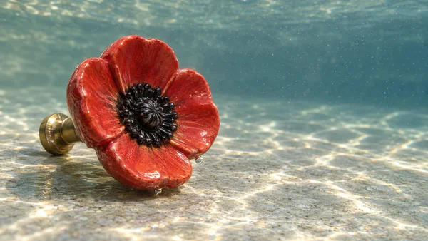 A glossy red ceramic poppy-shaped cabinet knob with a dark center and brass mounting hardware rests on a textured tank floor underwater, with bright caustic…