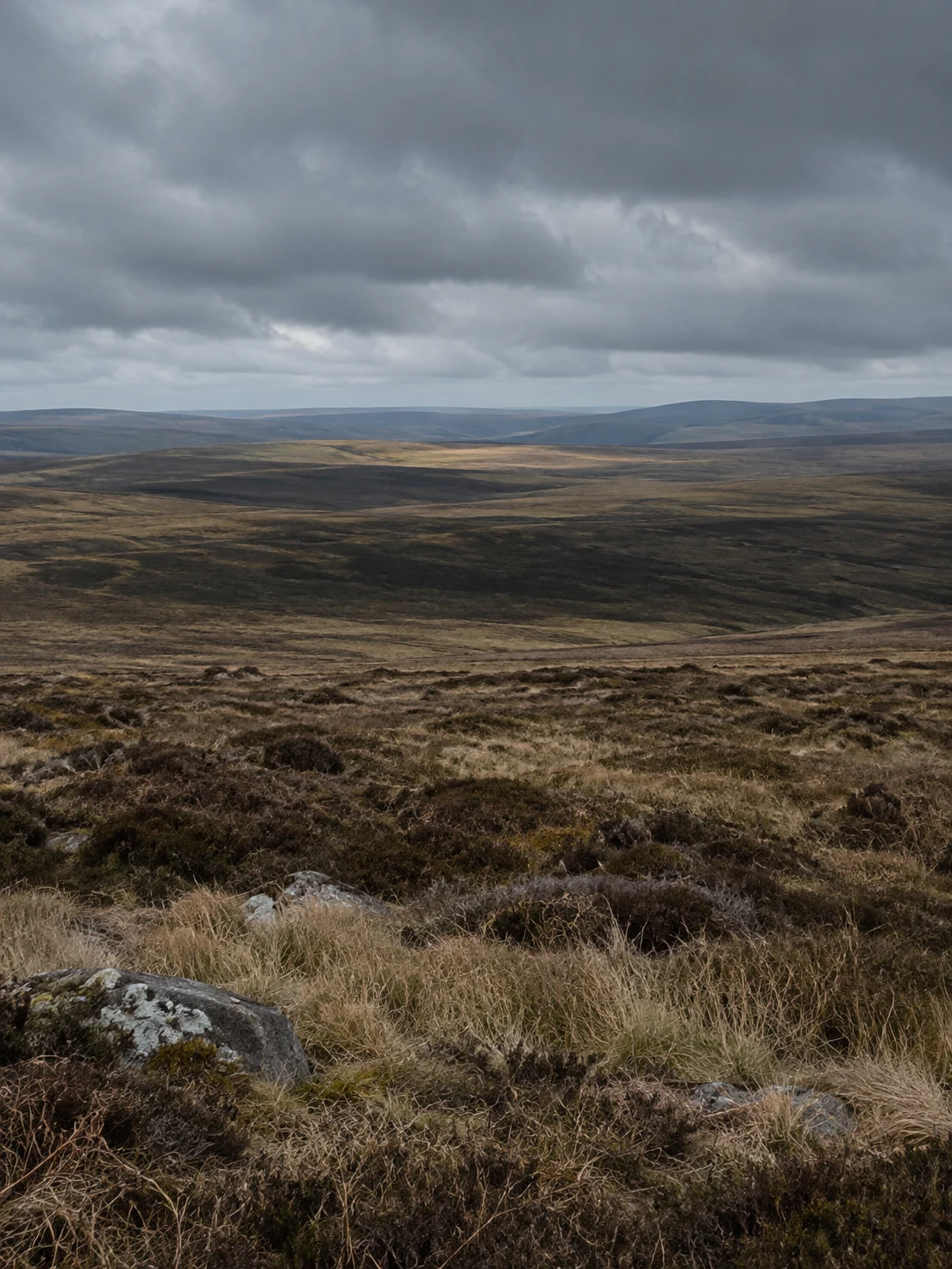 A wide, treeless upland moor of tawny grass and dark heather rolls toward a low distant horizon beneath layered grey clouds.
