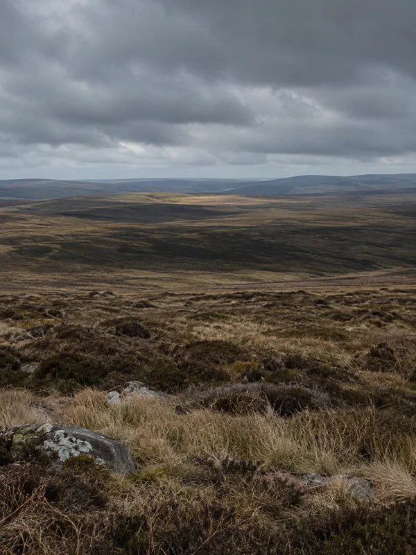 A wide, treeless upland moor of tawny grass and dark heather rolls toward a low distant horizon beneath layered grey clouds.