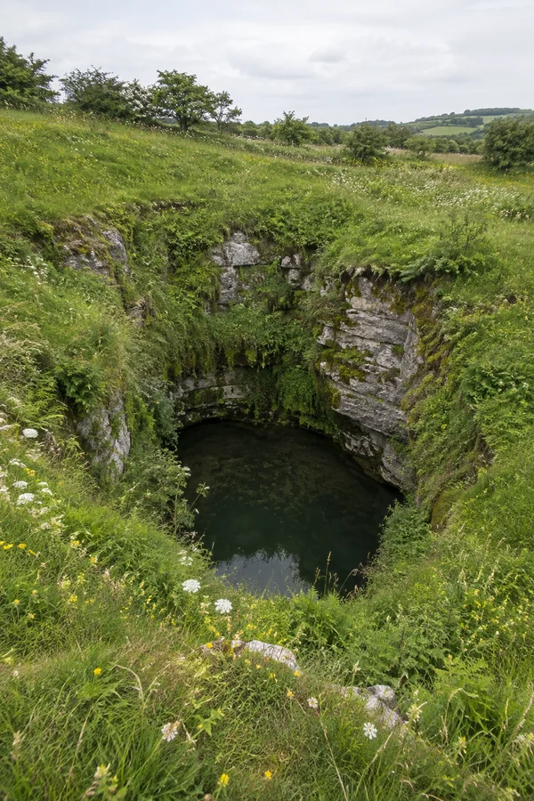 A steep, grass- and moss-covered limestone sinkhole with exposed pale rock walls and a dark pool, surrounded by wildflowers in a meadow beneath a pale overcast…