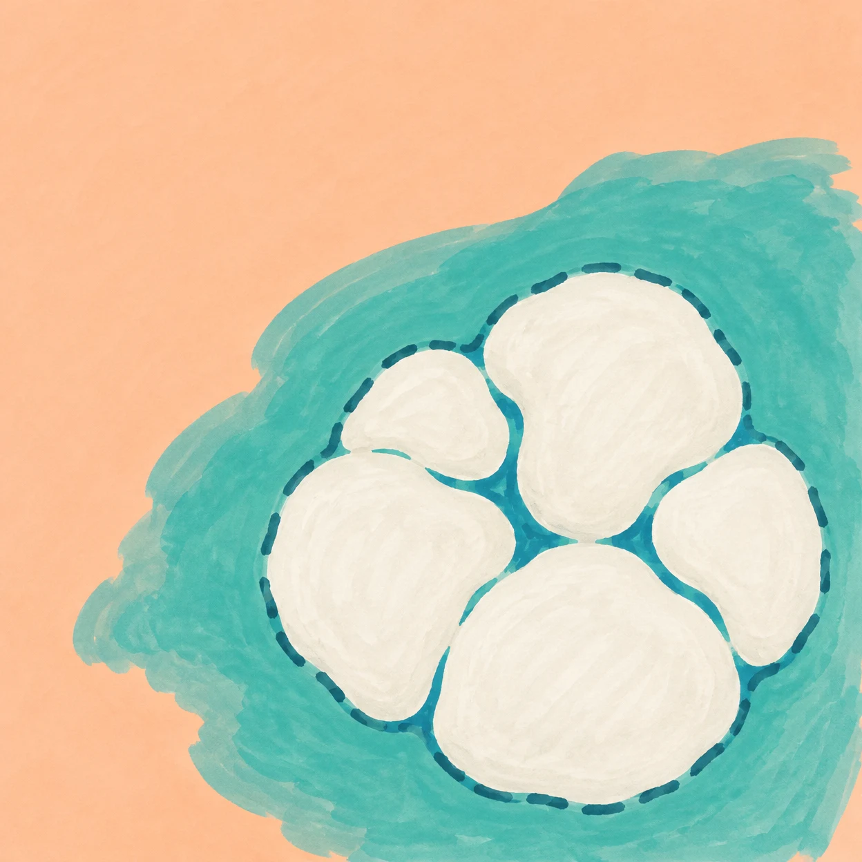 An overhead hand-drawn illustration of five joined ivory coral lobes surrounded by a broad teal wash on a warm peach ground, with dark running-stitch dashes…