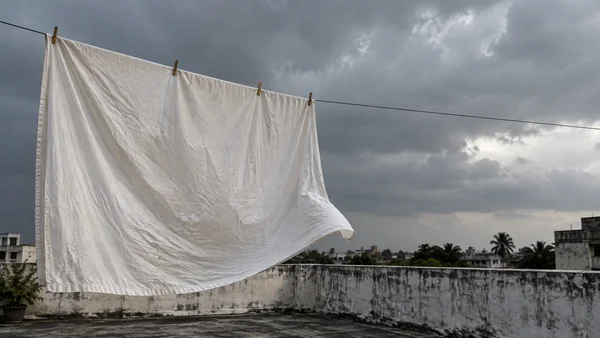 A large off-white bedsheet hangs from four wooden pegs on a rooftop clothesline, its lower hem lifted into a curve against a cloudy gray sky; a weathered…
