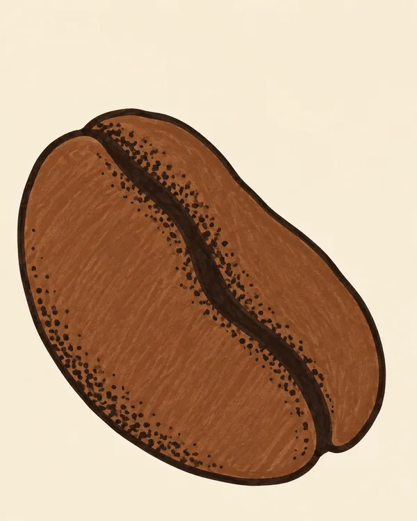 A large chestnut-brown coffee bean tilts diagonally across a warm cream background, with a dark curved crease, heavy outline, and clusters of dark dots.