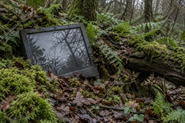A dark flat-panel monitor lies at an angle among moss, fallen leaves and ferns on a damp woodland floor, reflecting pale sky and bare branches; a moss-covered…