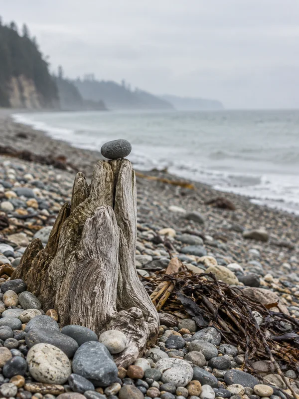 A dark rounded pebble balances atop a weathered, splintered driftwood stump on a pebble beach, with dried seaweed in the foreground and a softly blurred sea…