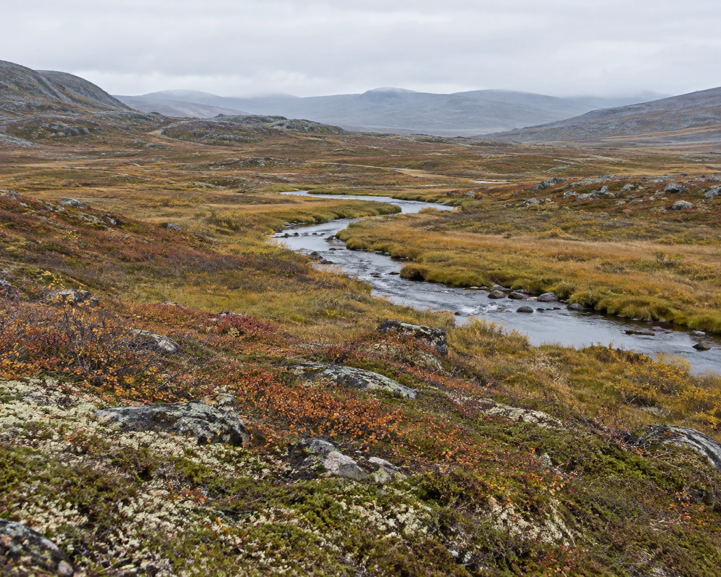 A narrow stream winds through a rocky, russet-and-ochre tundra valley beneath a pale overcast sky and distant misty hills.