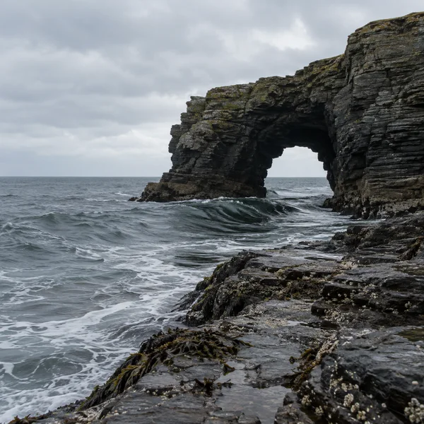 A layered dark-rock sea arch rises on the right above a wet, kelp-strewn rock shelf, with grey water and heavy cloud across the left side of the frame.