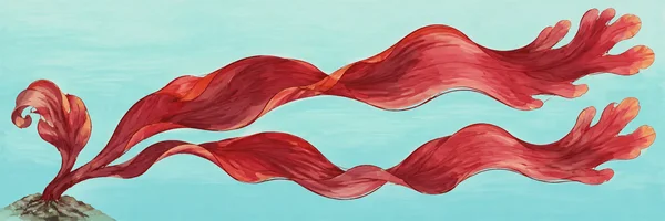 A large burgundy and coral-red seaweed frond grows from a rocky patch at the lower left, with two long, wavy blades extending across a pale aqua background and…